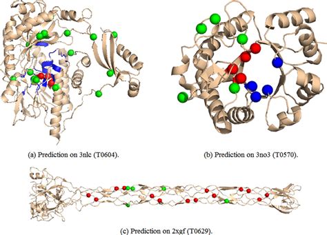 protein binding prediction.